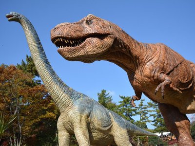 🌳 히가시 공원(오카자키시 히가시 코엔) 이미지 2